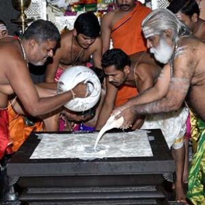 Rudrabhishekam on any one day